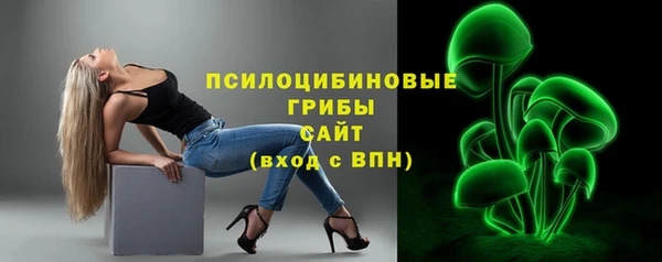 мяу мяу мука Алзамай