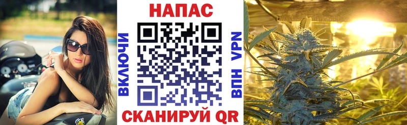 даркнет сайт  Киреевск  Бошки Шишки VHQ 